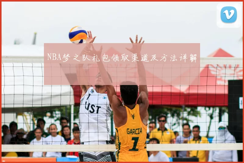 NBA梦之队礼包领取渠道及方法详解