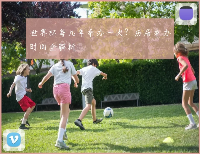 世界杯每几年举办一次?历届举办时间全解析