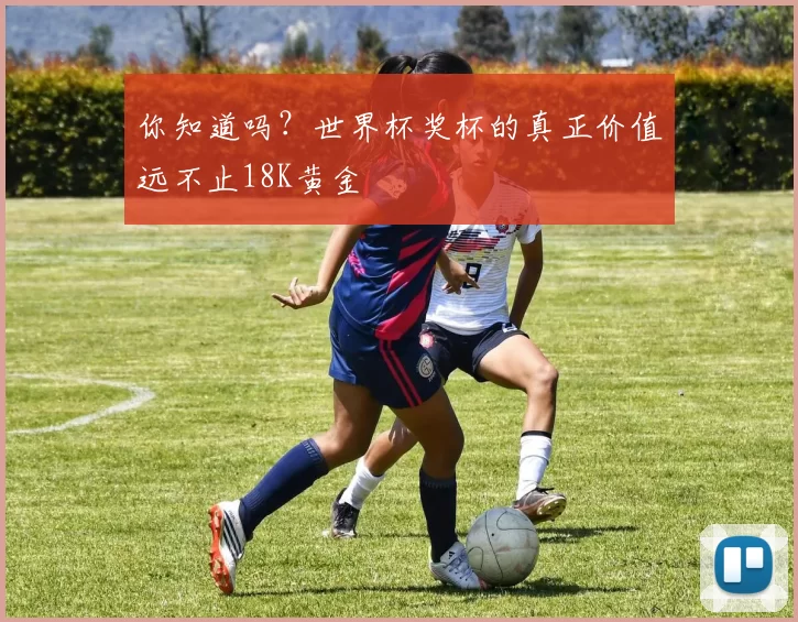 你知道吗？世界杯奖杯的真正价值远不止18K黄金