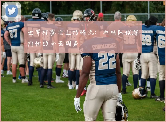 世界杯赛场上的暗流：加纳队假球指控的全面调查