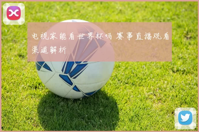 电视家能看世界杯吗 赛事直播观看渠道解析