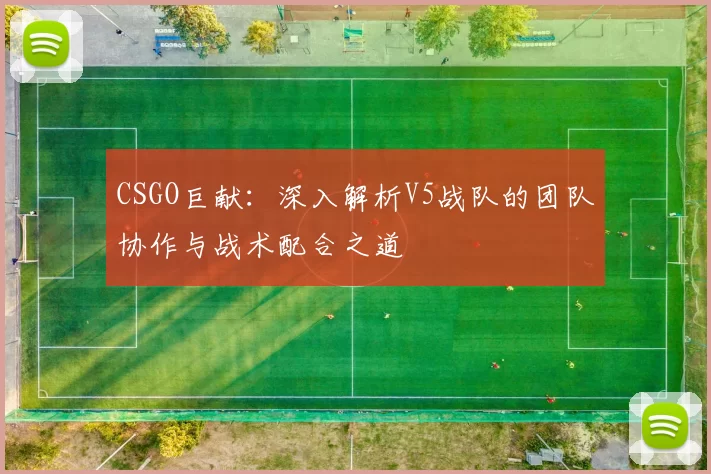 CSGO巨献：深入解析V5战队的团队协作与战术配合之道