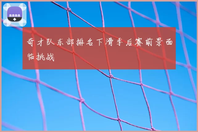 奇才队东部排名下滑季后赛前景面临挑战