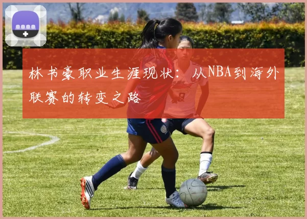 林书豪职业生涯现状：从NBA到海外联赛的转变之路