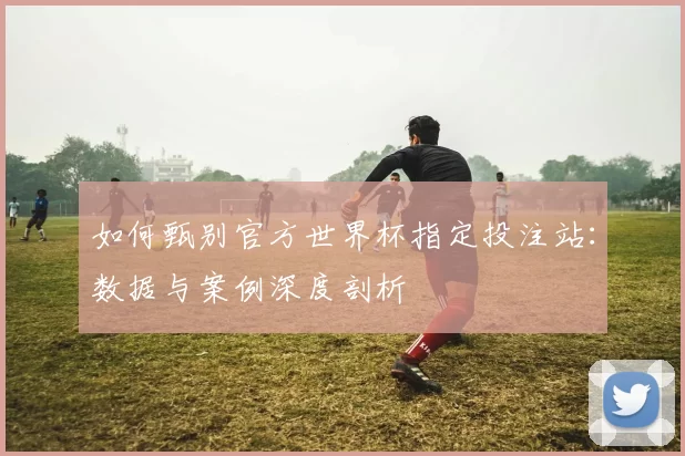 如何甄别官方世界杯指定投注站:数据与案例深度剖析