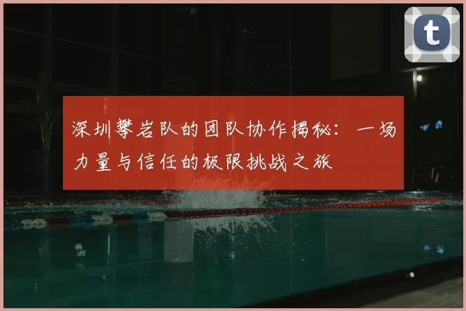 深圳攀岩队的团队协作揭秘：一场力量与信任的极限挑战之旅