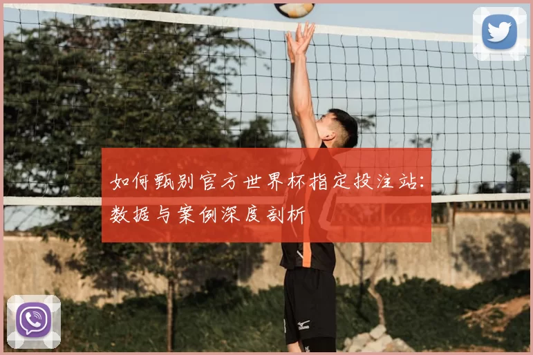 如何甄别官方世界杯指定投注站：数据与案例深度剖析