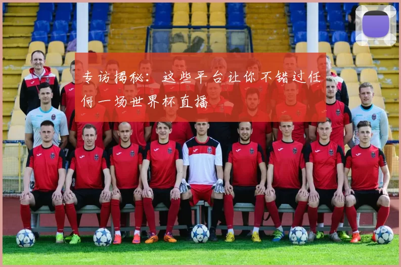 专访揭秘:这些平台让你不错过任何一场世界杯直播